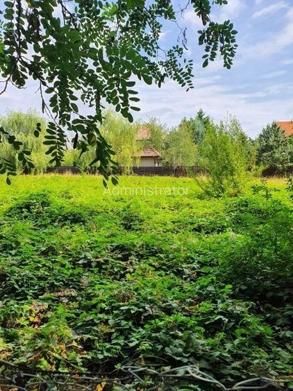 PARADISUL VERDE- teren in suprafata de 1 326 mp,. utilitati