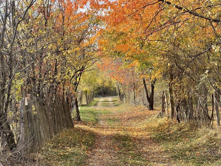 Teren Premium 1559 mp, Brebu Manastirei - Refugiu Montan la 120 km de Bucuresti, - 10