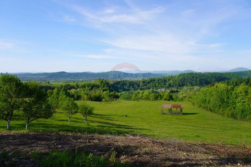 Teren 15,000mp Sighetu Marmatiei / Strada Mocăniței - 2