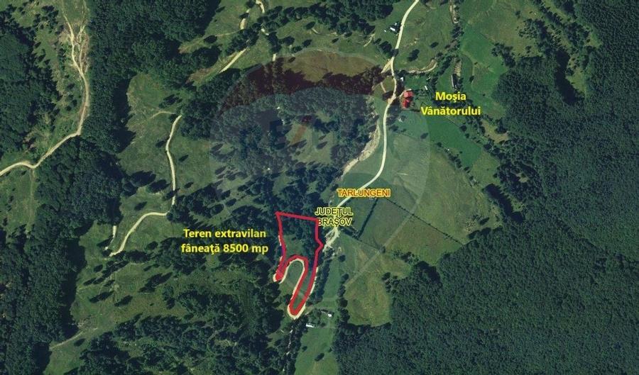 Teren 8500 mp, Valea Dalghiului - Dalghiu - vedere catre Ciucas - 11