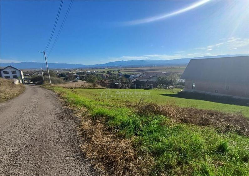 Teren intravilan cu proiect de casa autorizat in Sura Mare - 2