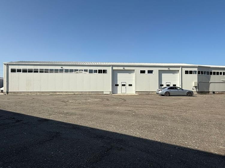 Zona industriala Hala Noua - 5