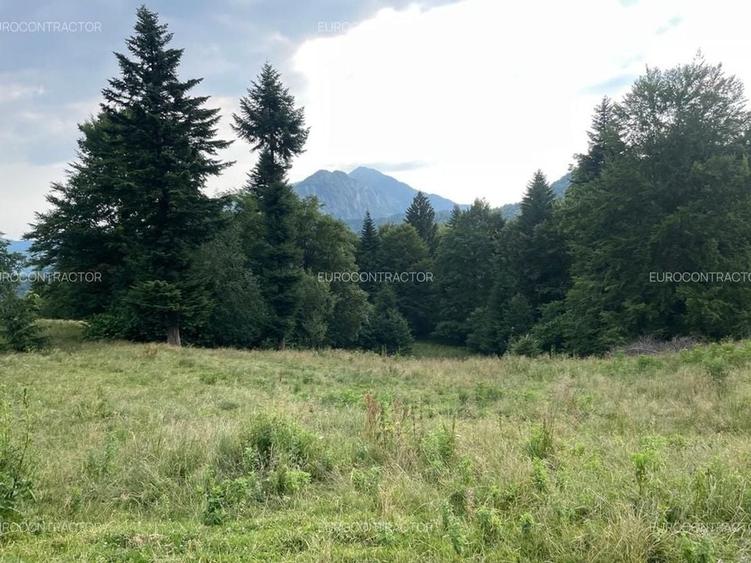 Teren Rasnov inntravilan PUZ) zona Parau Rece - 3