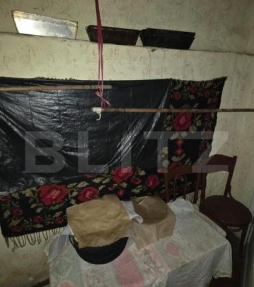 Casa saseasca de vanzare, Livezile - 3