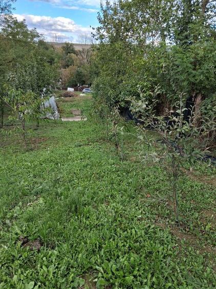 Teren de vanzare - 1