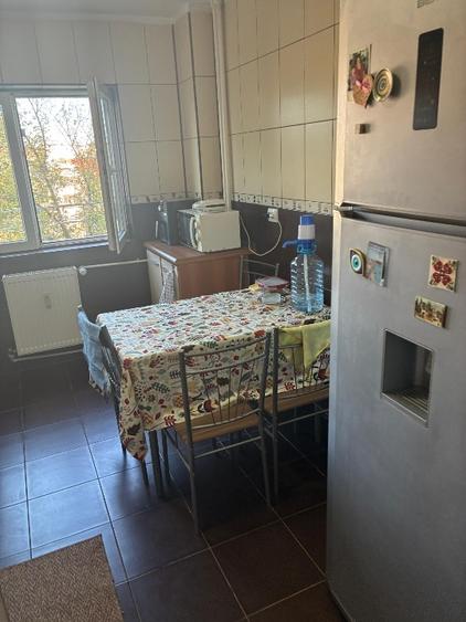 Izvorul Rece Drumul Gazarului 4 camere - 8