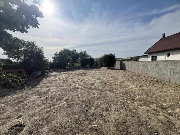 RECO , Spatiu comercial, Ineu,Bihor - 11