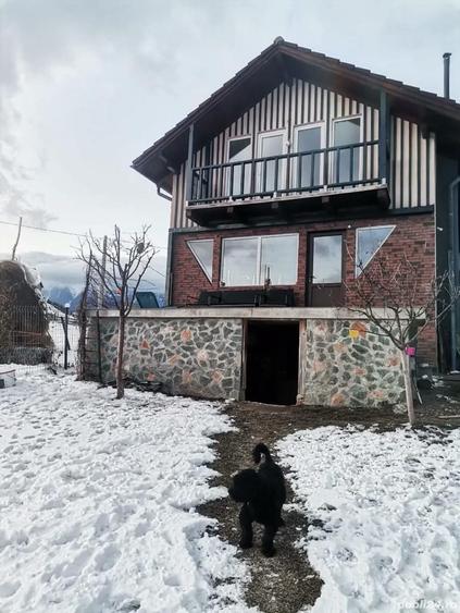 Duplex cu teren generos de 13.600 mp in sat Magura, jud. Bra?ov - 4