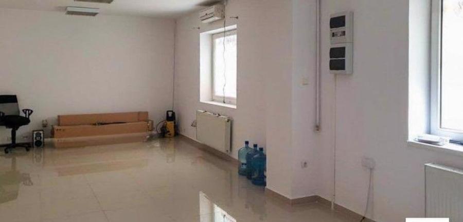 Casă individuală cu 10 camere în Scriitorilor - 14