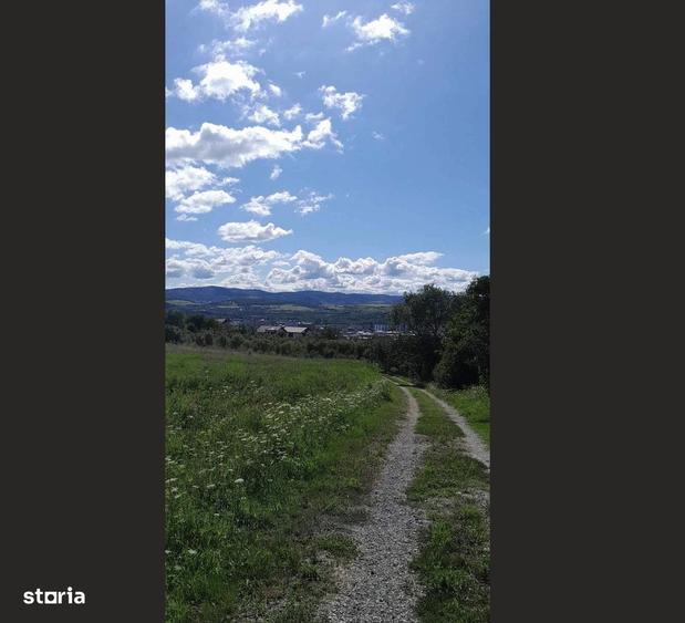 Teren intravilan 3000mp utilitati,proiect aprobat,vedere oras & Castel - 6