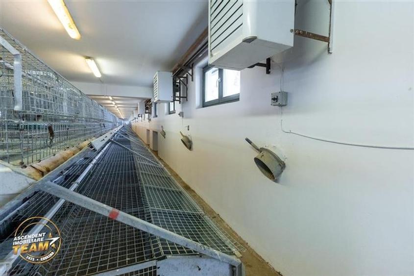 FILM! Ferma de iepuri,Malnas,Covasna: domeniu:comercial/industrial,asset UE - 37