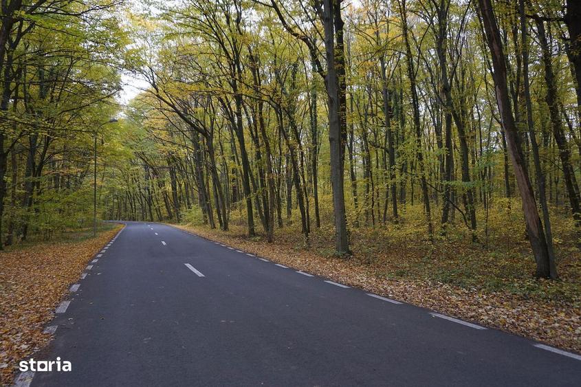 Teren intravilan | Snagov | Izvorani | 2800mp | Stradal - 3