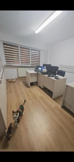 Spațiu comercial, de 84 mp, în Prundu
