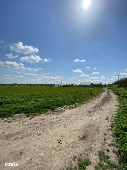 Teren intravilan Valea Dacilor - Medgidia 23 euro mp - 5