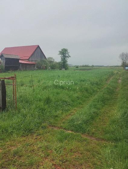 teren intravilan in Lunca Cilnicului 700 mp pret 21000euro parcela are fs 20ml