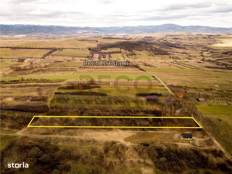 RECO Teren intravilan Zona Vadu Crisului Bihor - 6