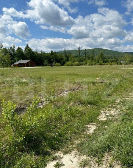 Teren intravilant, 2500 MP, parcelabil , front 25 ml ,Hardic - 2