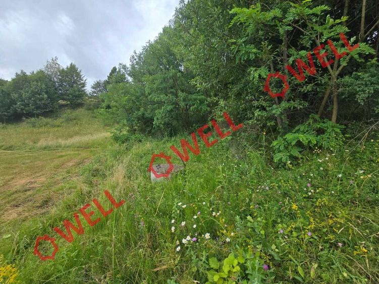 De vânzare teren extravilan loc. Sărămaș! - 2