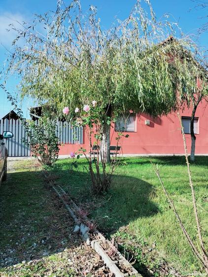 Vand casa 1800mp - 8