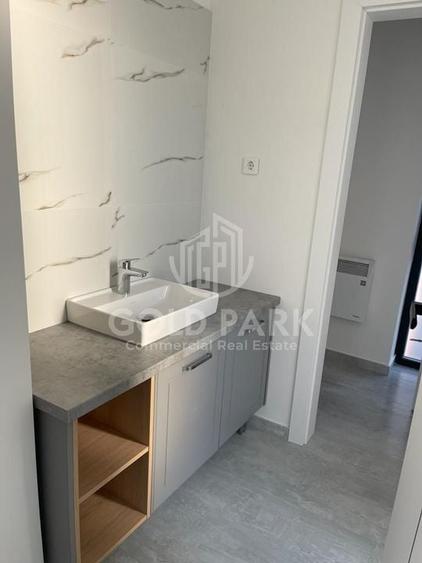 Spatiu de Birouri/Cladire de Birouri-Zona Europa-Garaj/Parcari/Curte - 10