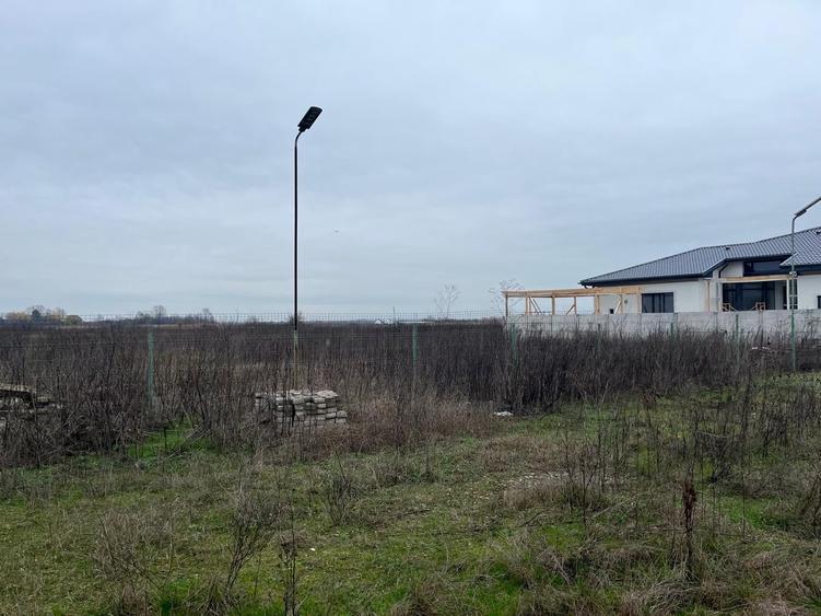 Otopeni Strada Train vuia Bucuresti - 2