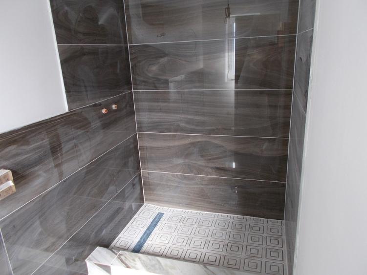 Duplex, Sag, parter, 3 camere, 100mp, teren 300mp - 6