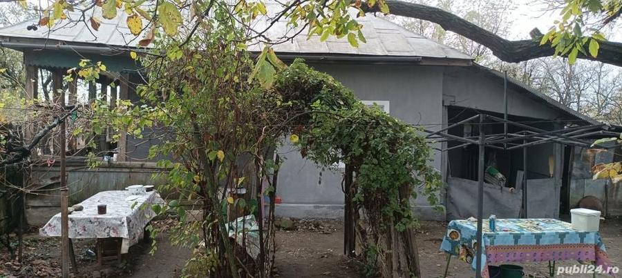 vand casa cu curte si teren in Padina Mica, Mehedinti - 8