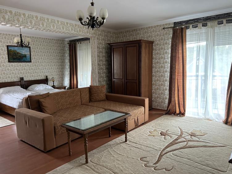 Vand Hotel cu restaurant  si piscina - 7