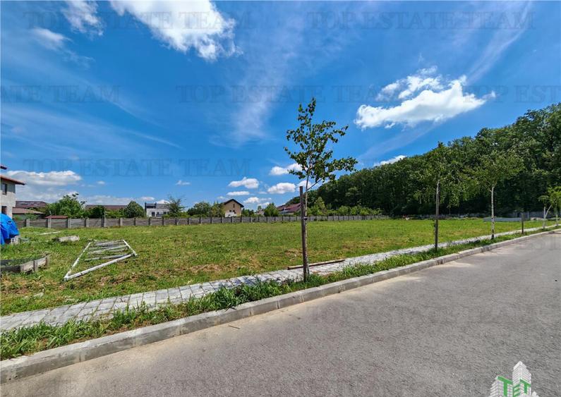 Teren constructii in proximitatea Padurii Corbeanca - 4