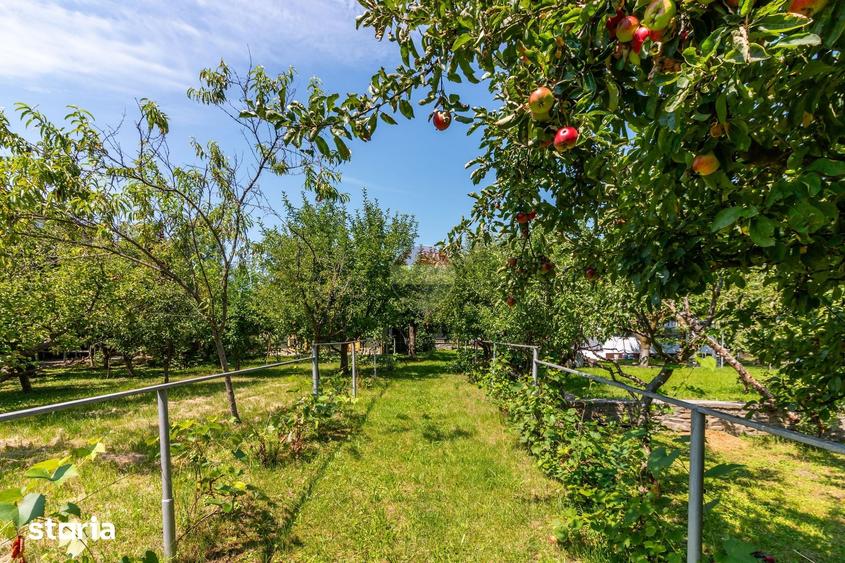 Casă cu Teren 3425 Mp în Gura Vitioarei