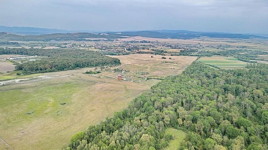 Teren Extravilan - 14