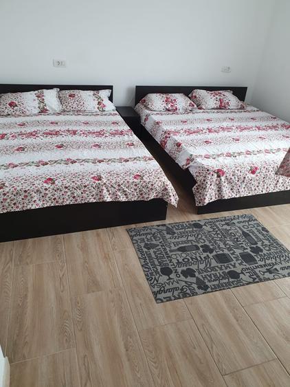 Ovidiu - vilă mobilată , utilată - 2