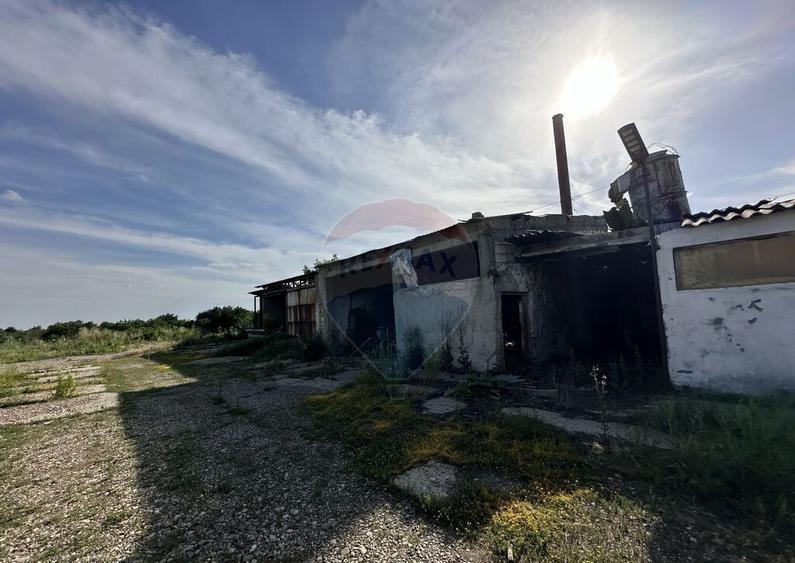 Spa?iu industrial Hale si Fabrica de lemn - 23