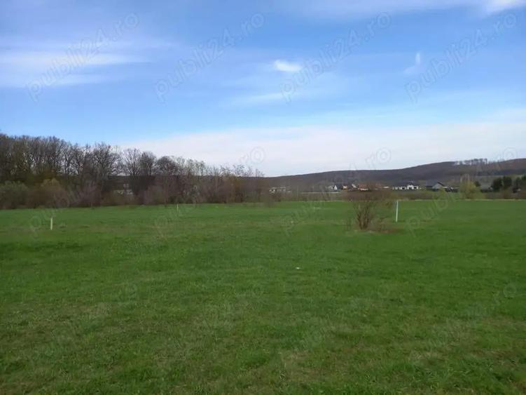 Vand teren Dragomirna 3000 mp langa padure - 4