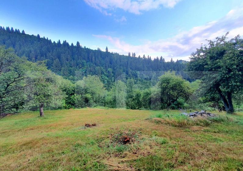 Teren intravilan, 31 ari, Ilva Mica, zona montana - 5