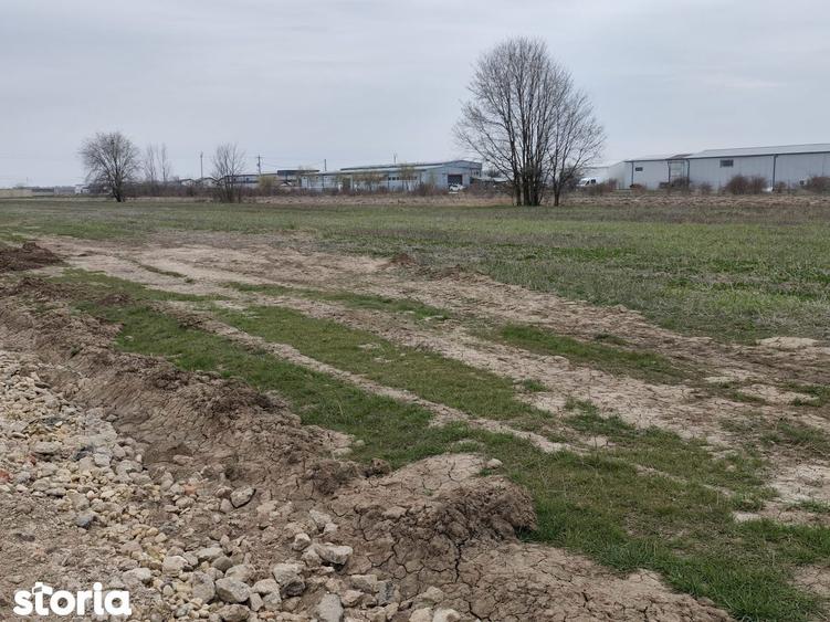FARA COMISIOANE LOTURI TEREN CONSTRUCTII HALE in ZONA DE HALE merita v - 5