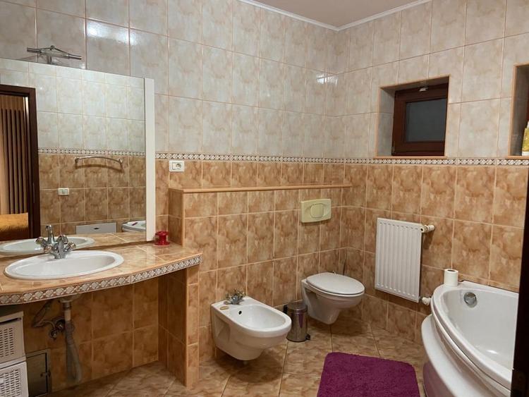 Proprietate inedita cu teren de 4400, si deschidere cu ponton pe Bega - 17