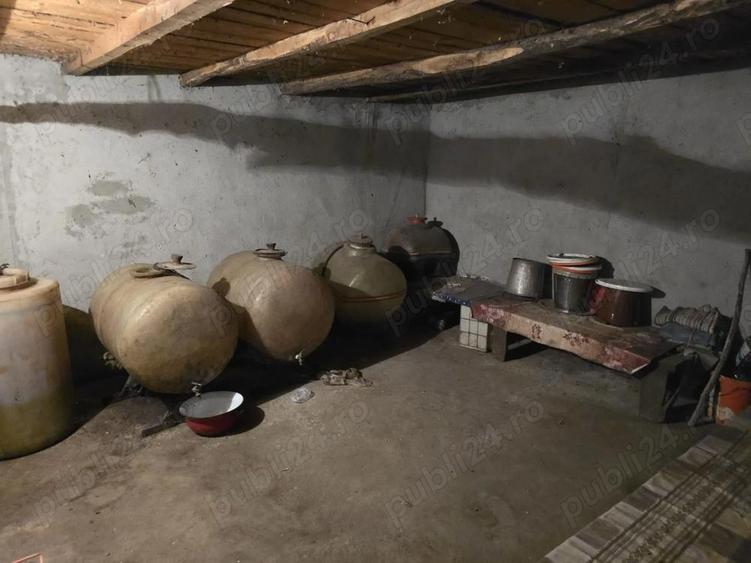 Casa la tara in Jud. Buzau - 5