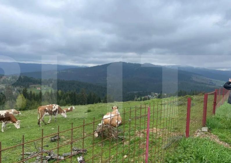 Ocazie! Casa de vacanta cu vedere la Lacul Belis - 15