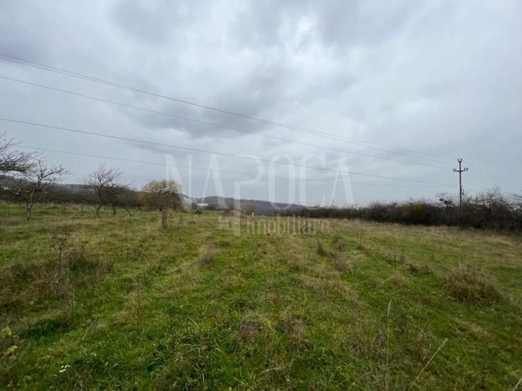 Teren intravilan pentru constructii de vanzare in Feleacu - 4