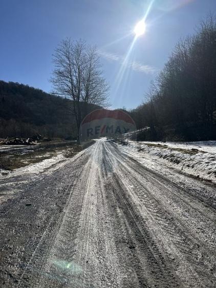 Teren 1,340mp Cuejdiu / Strada Cuejdiului - 5