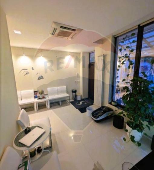 Vila spatiu de lux de inchiriat in Bucuresti, Cotroceni (clinica) - 12