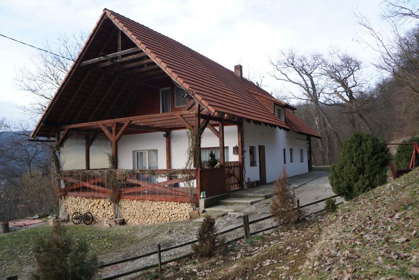 Vand casa in orasul Sighisoara - zona linistita - 6