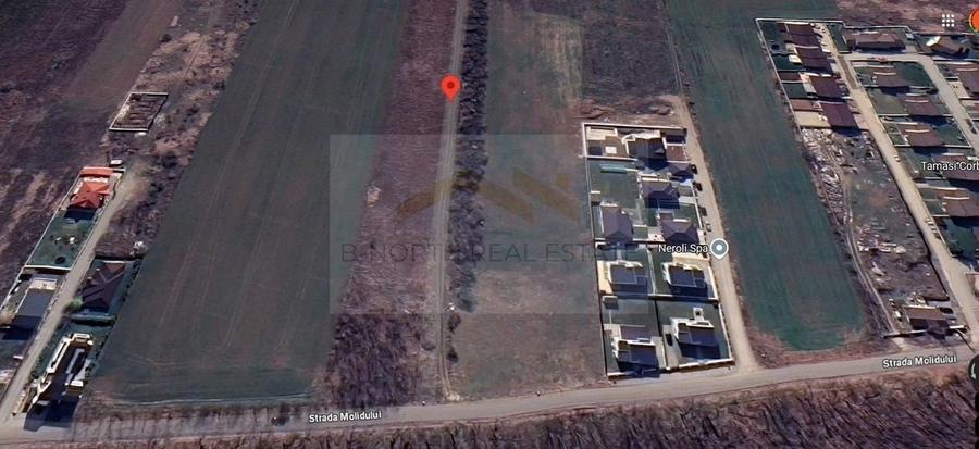 Teren 600 mp str Molidului langa padure - 1