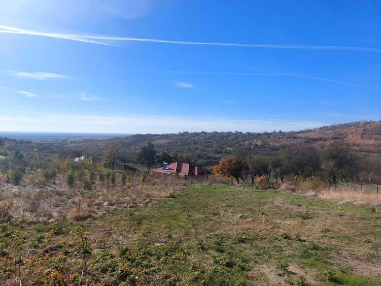 Teren intravilan in localitatea TOHANI PRAHOVA - 3