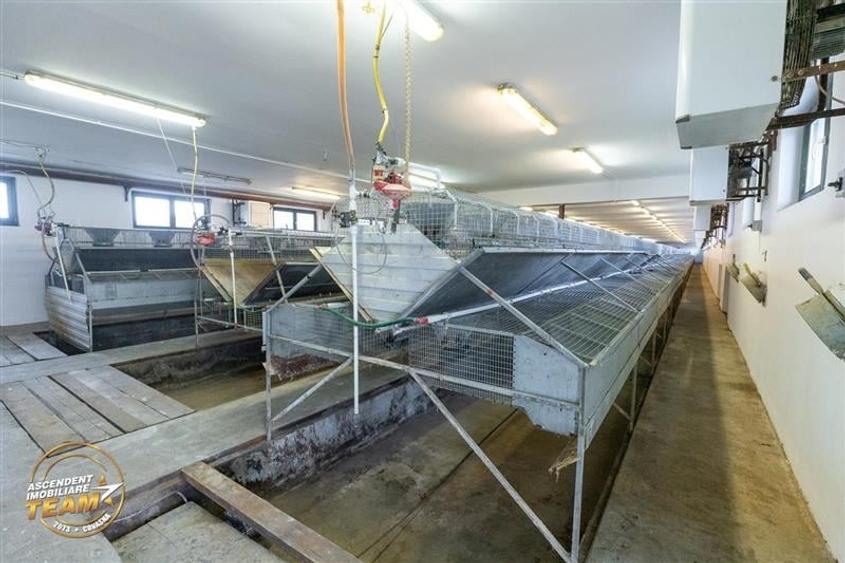 FILM! Ferma de iepuri,Malnas,Covasna: domeniu:comercial/industrial,asset UE - 19