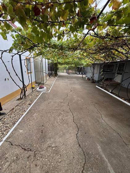 Casă cu Teren 1500 Mp în Sânandrei