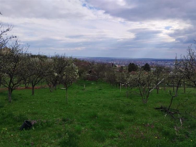 RECO Teren intravilan in Oradea zona Dealuri 1000 mp cu utilitati - 6