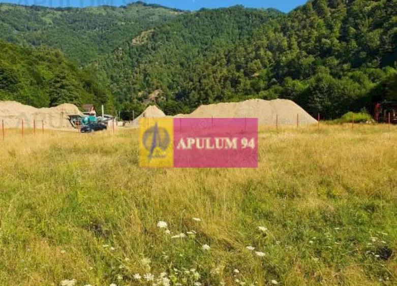 Teren Jude?ul Valcea - Brezoi, Valea lui Stan - 13