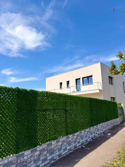 Casa de vanzare sanicolau mic - 5